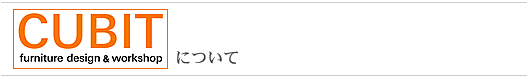 CUBIT�ɂ���